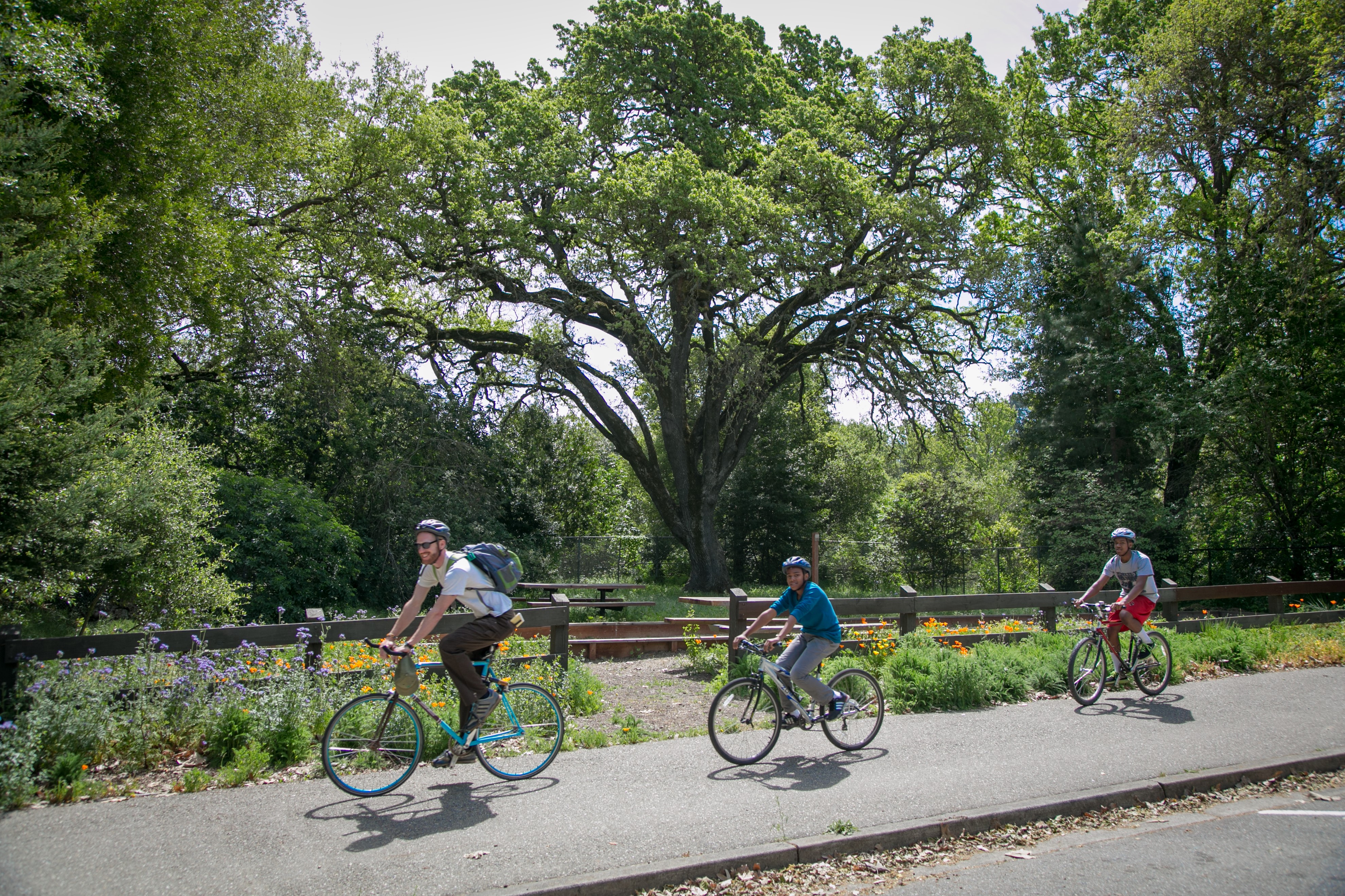 Bike trail routes online near me